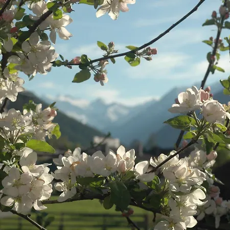 Appartamento Haus Hofer Mieders