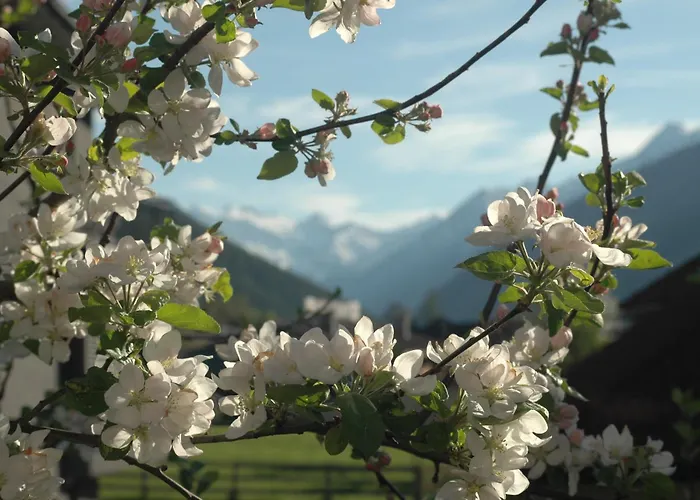 アパート Haus Hofer ミーダース