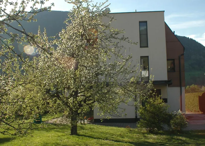 アパート Haus Hofer